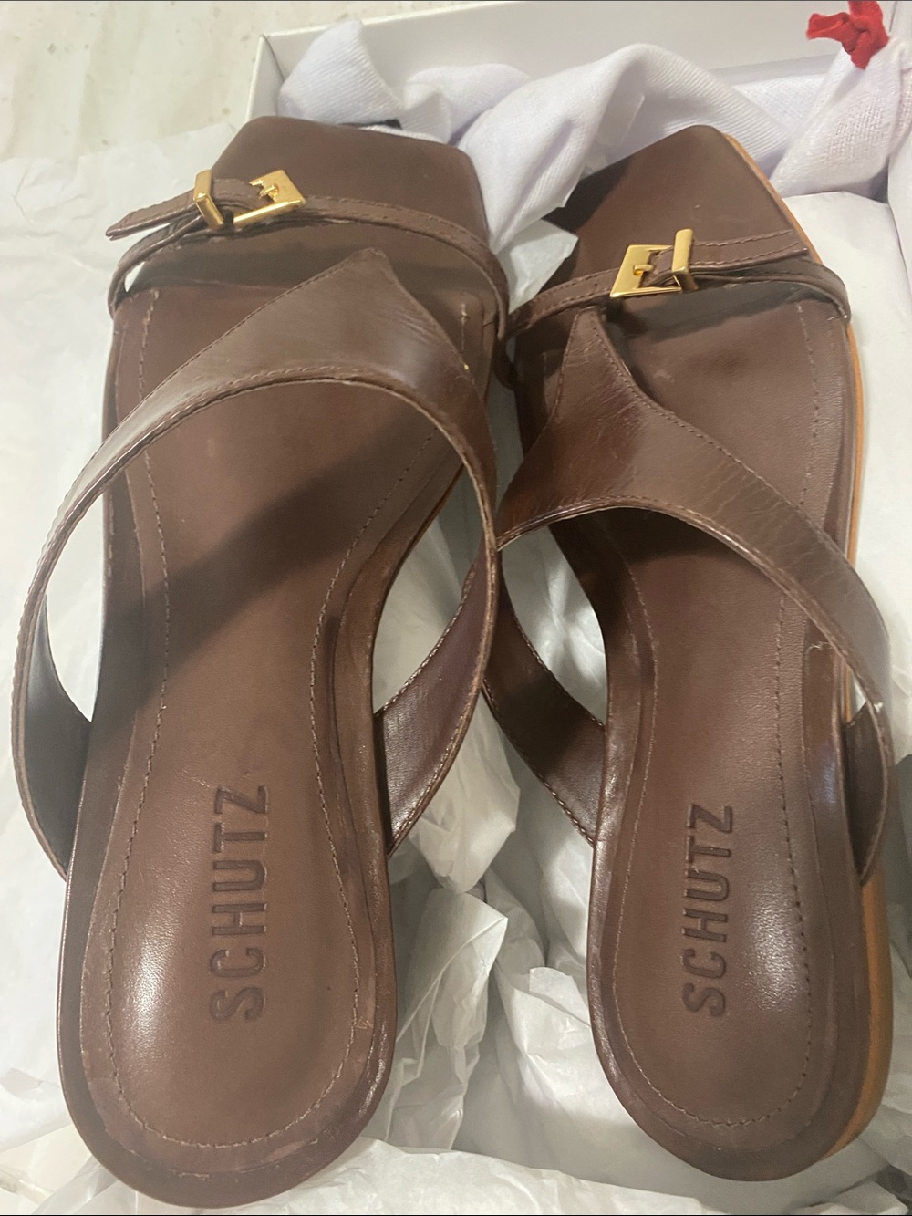 SCHUTZ Brown Leather Cross-Strap Slide Mules with Gold Buckle